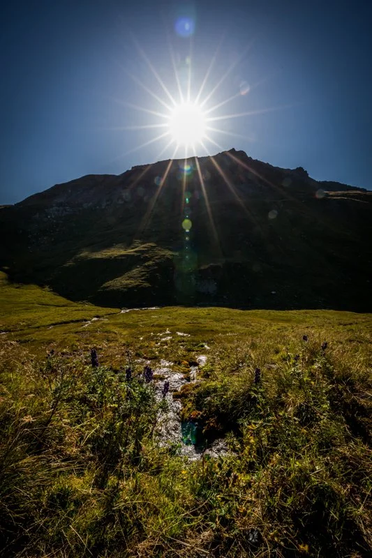 by caroline staeger photography - 08152025 - WaterLovePeace - 080.jpg