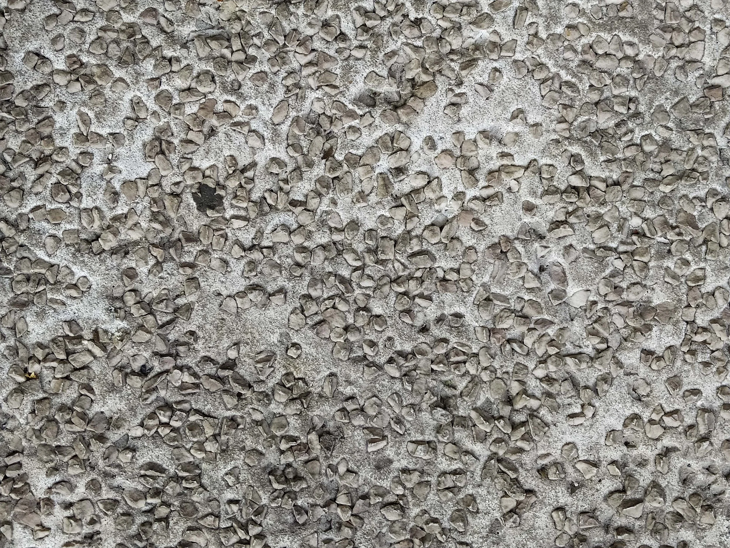 -010722pavimento 1.jpg