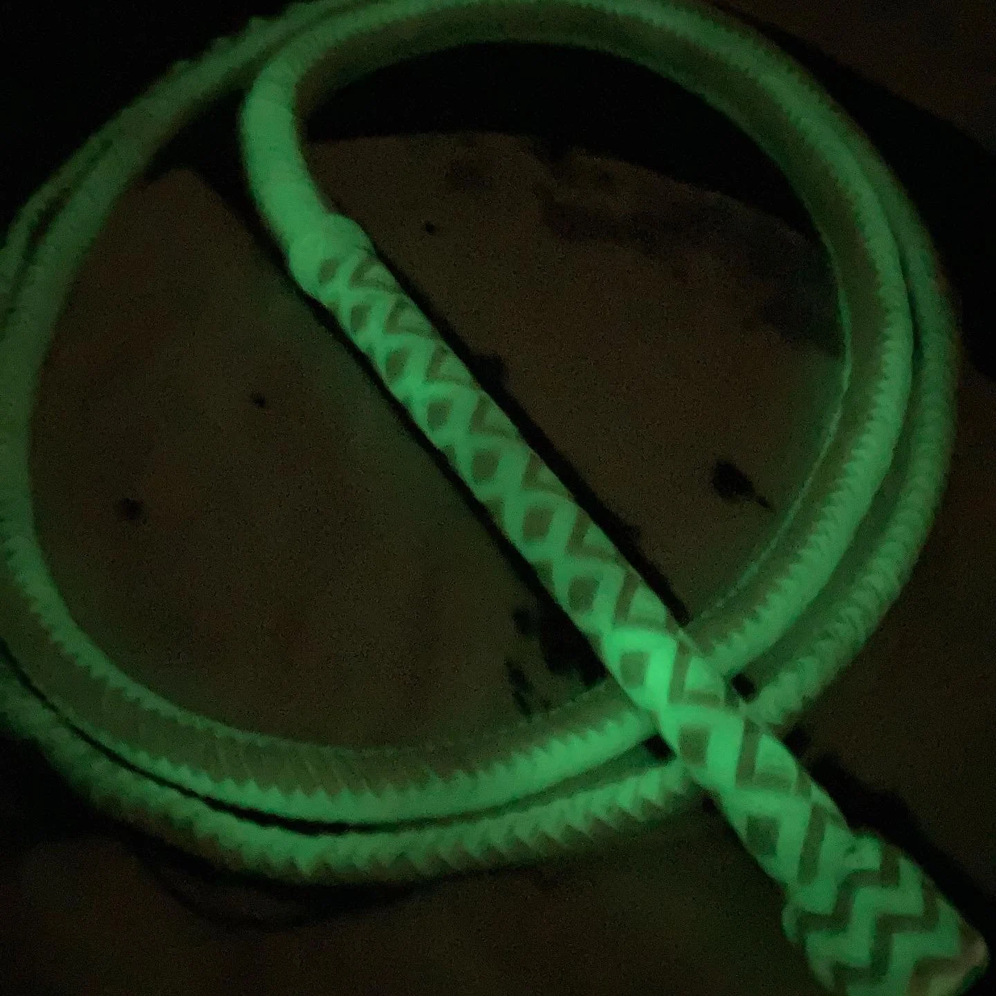 A glowing green 8' nylon bullwhip.
