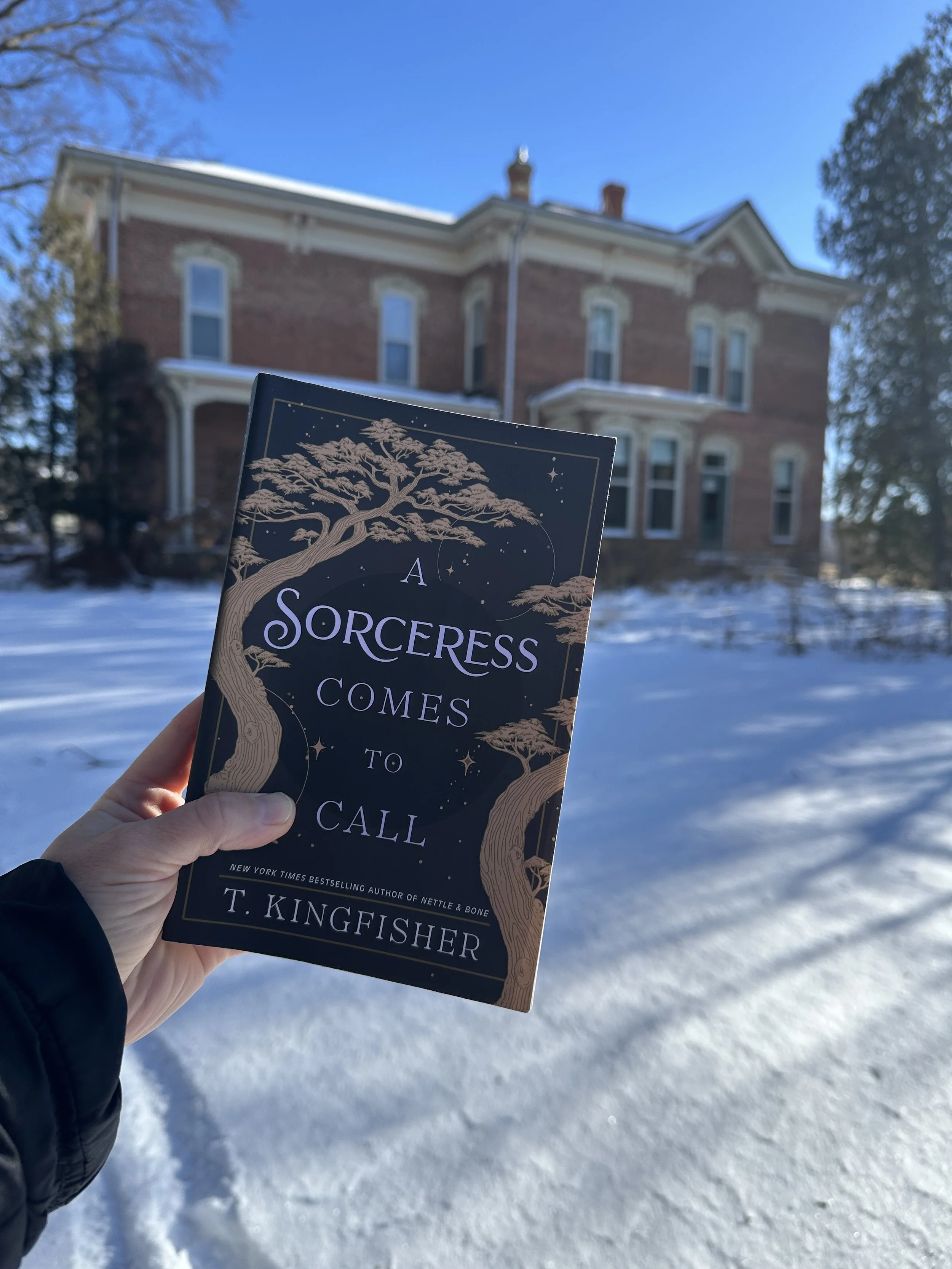 (Reading Gratitude Journal #1) A Sorceress Comes to Call