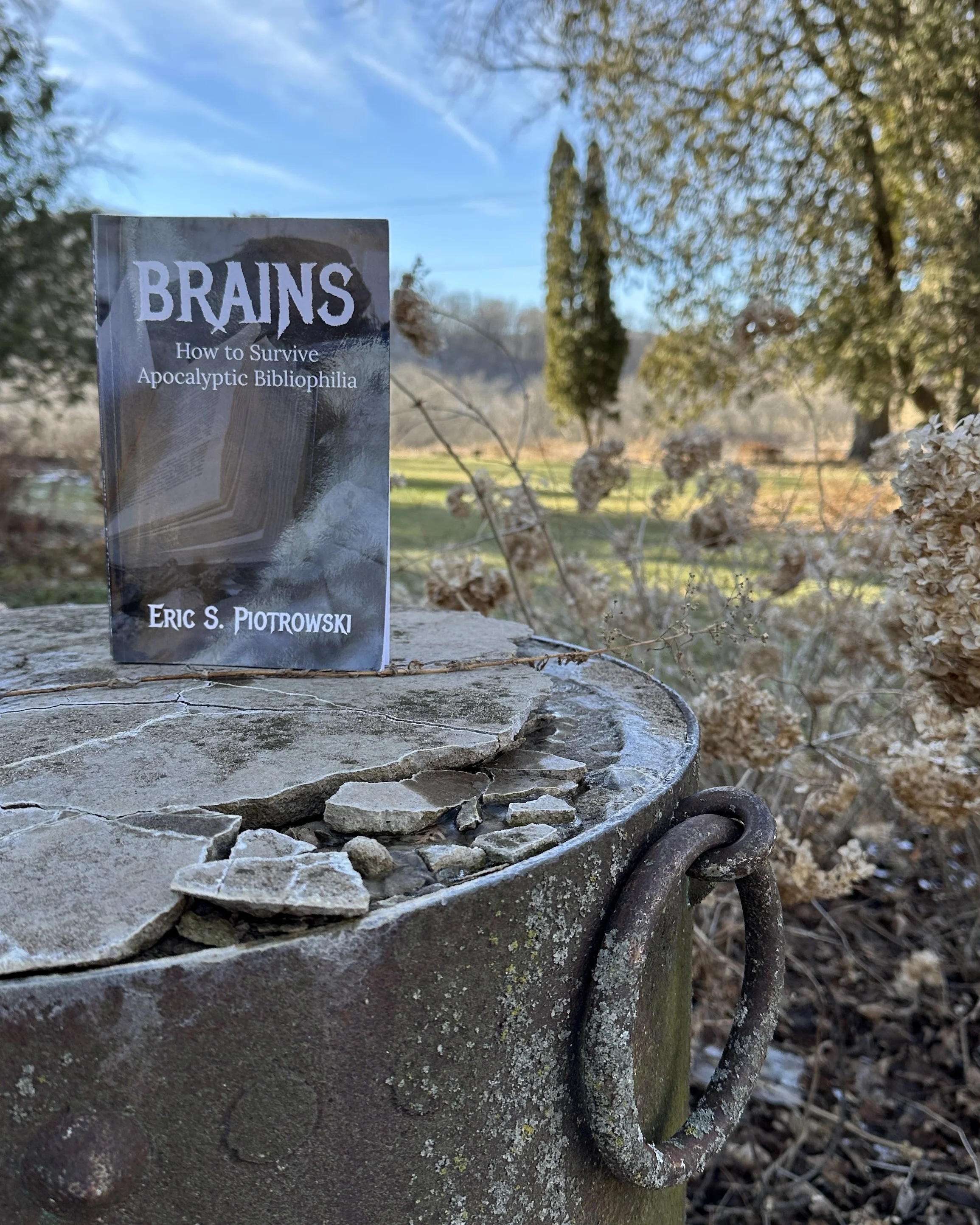 (Reading Gratitude Book #0) Brains: How to Survive Apocalyptic Bibliophilia