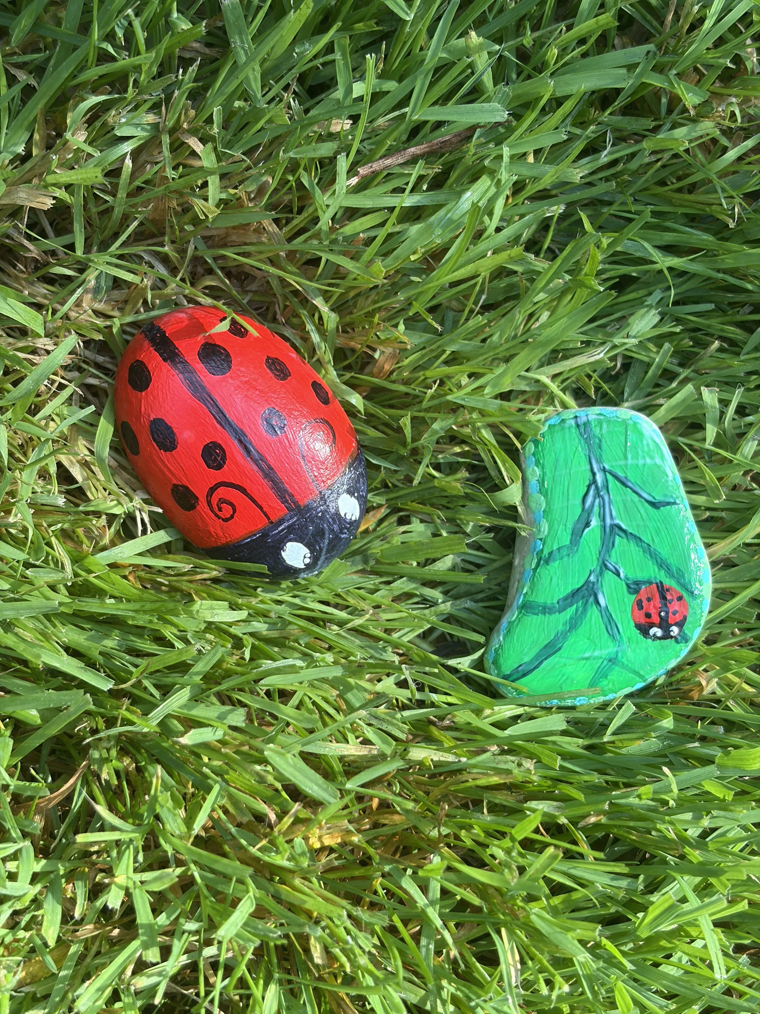 Painted ladybug rock and leaf-shaped rock with mini ladybug design displayed in grass.