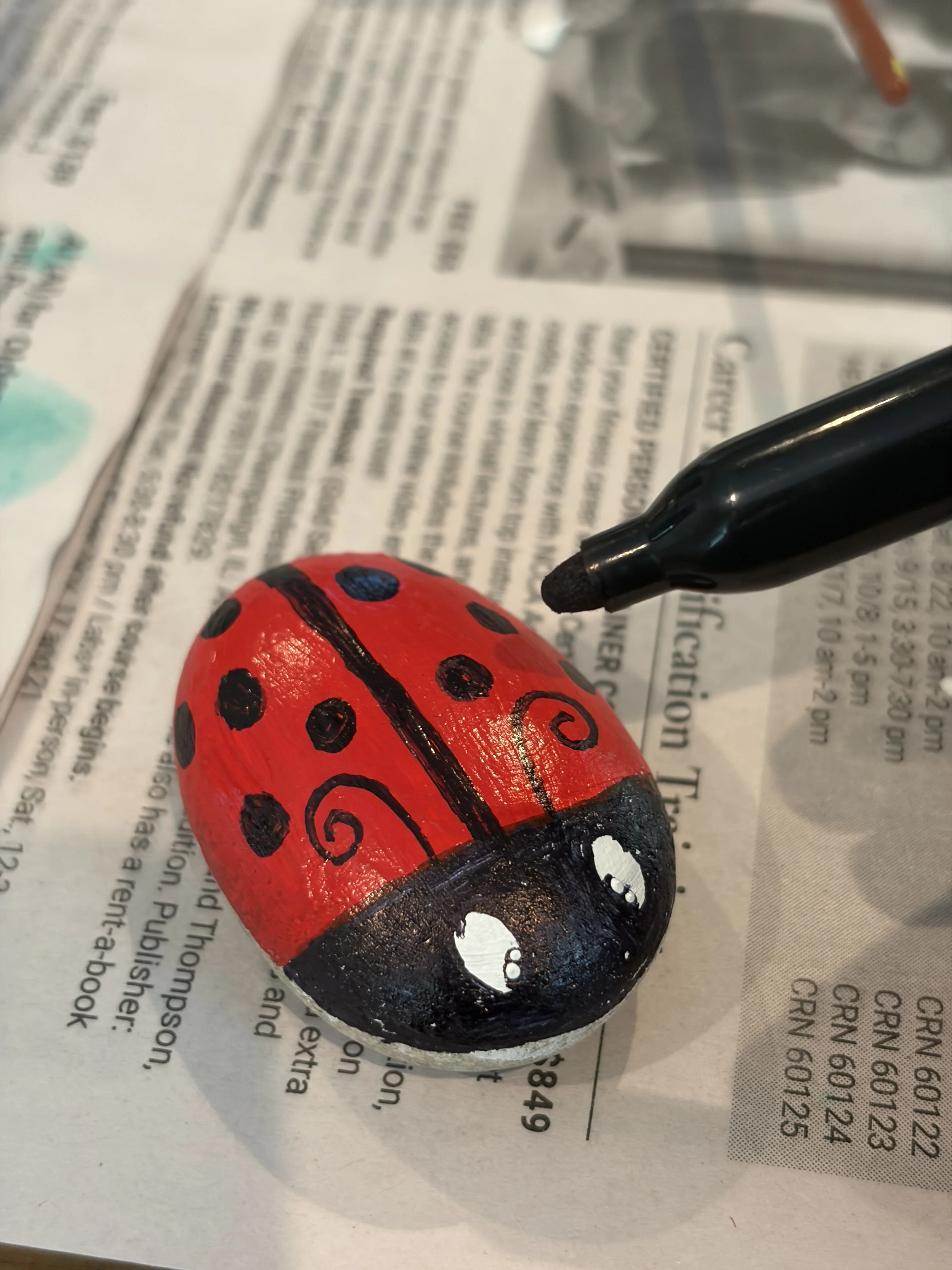How to Paint Ladybug Rocks: A Step-by-Step Tutorial