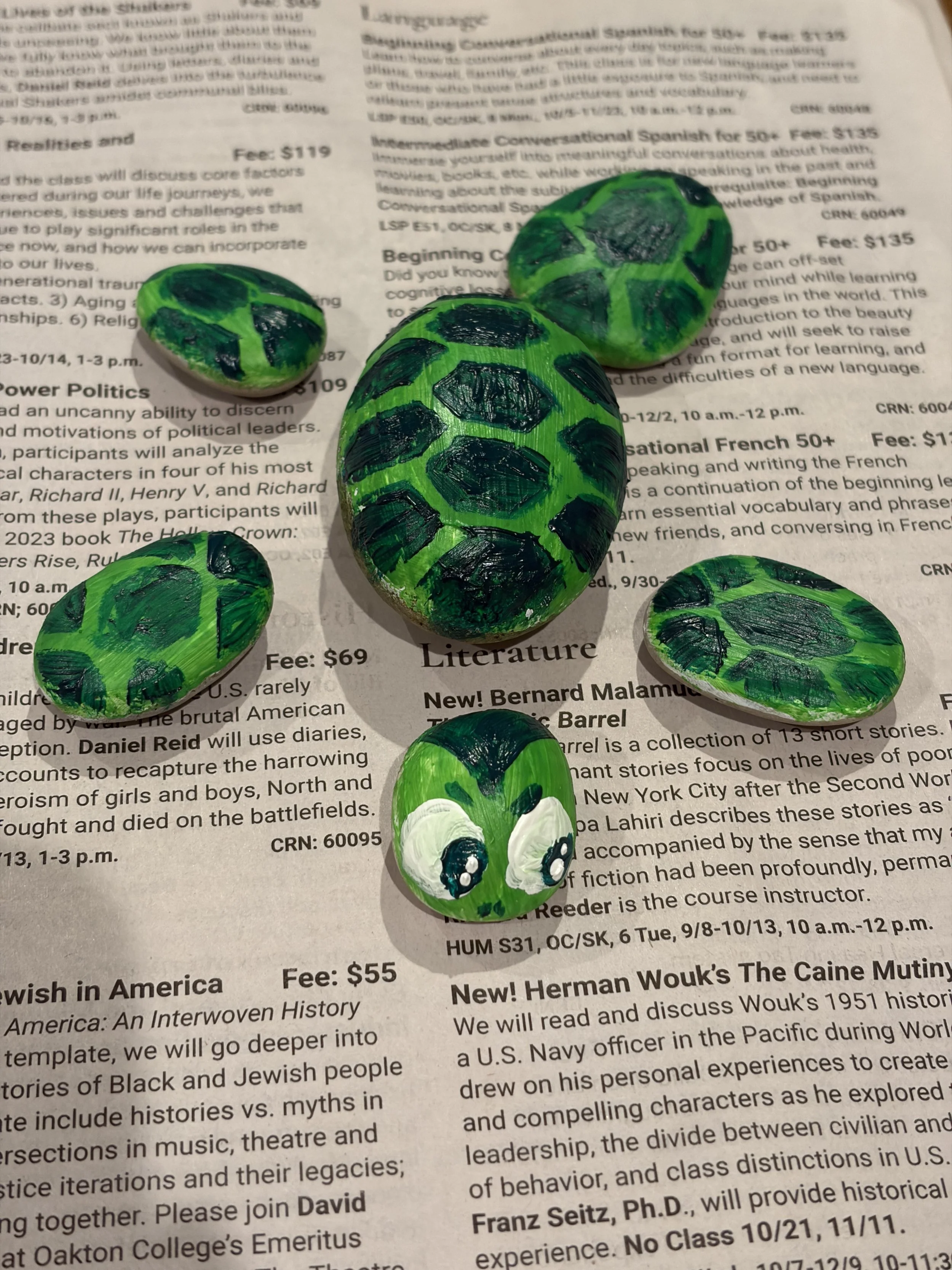 Painted Rock Turtle: Easy Hexagon Shell Step-by-Step Tutorial