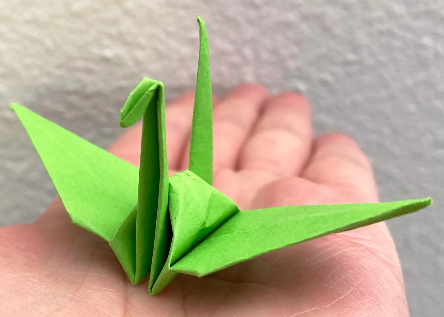 ✨ New Blog Post Alert ✨

&ldquo;When we have hope, we have so much freedom.&rdquo;

I think we can all use a little more hope, especially today. Link in bio for a beautiful story from a chaplain @mayoclinic.

&mdash;
#hope #origami #origamicrane #cra