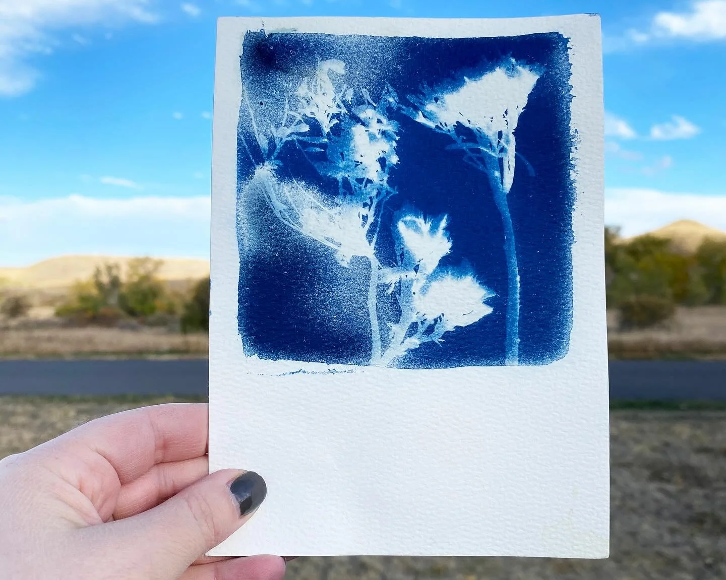 ✨ New Blog Post Alert ✨

&ldquo;We would watch our pieces transform under the sun&rsquo;s magic and come to life through the power of water. This process felt so simple, so pure.&rdquo;

Link in bio to read more about making cyanotype prints and bein