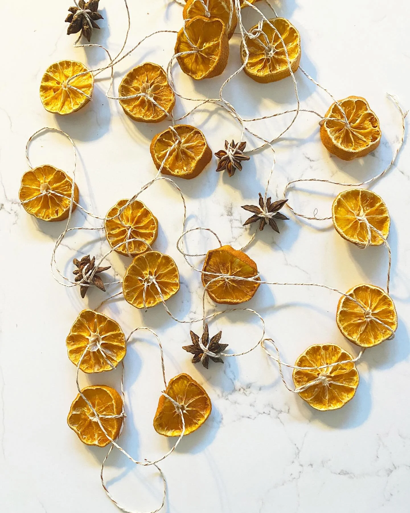 ✨ New Blog Post Alert ✨

&ldquo;I am definitely feeling more festive this year and am excited to start some new traditions as I enter into a new chapter after two years of cancer treatments.&rdquo;

Link in bio on how to make your own citrus garland 