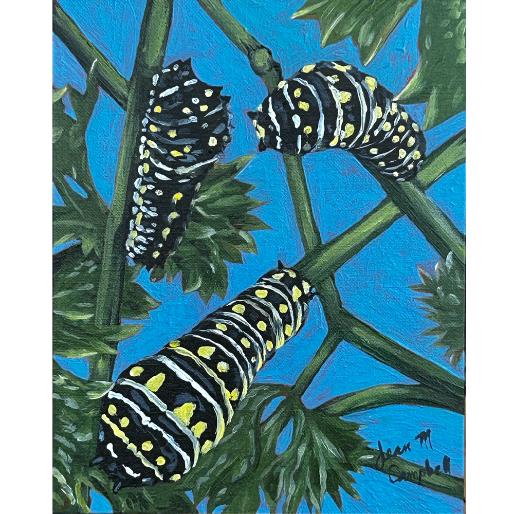 Makin' a Living - Acrylic on Board - 8" x 10"