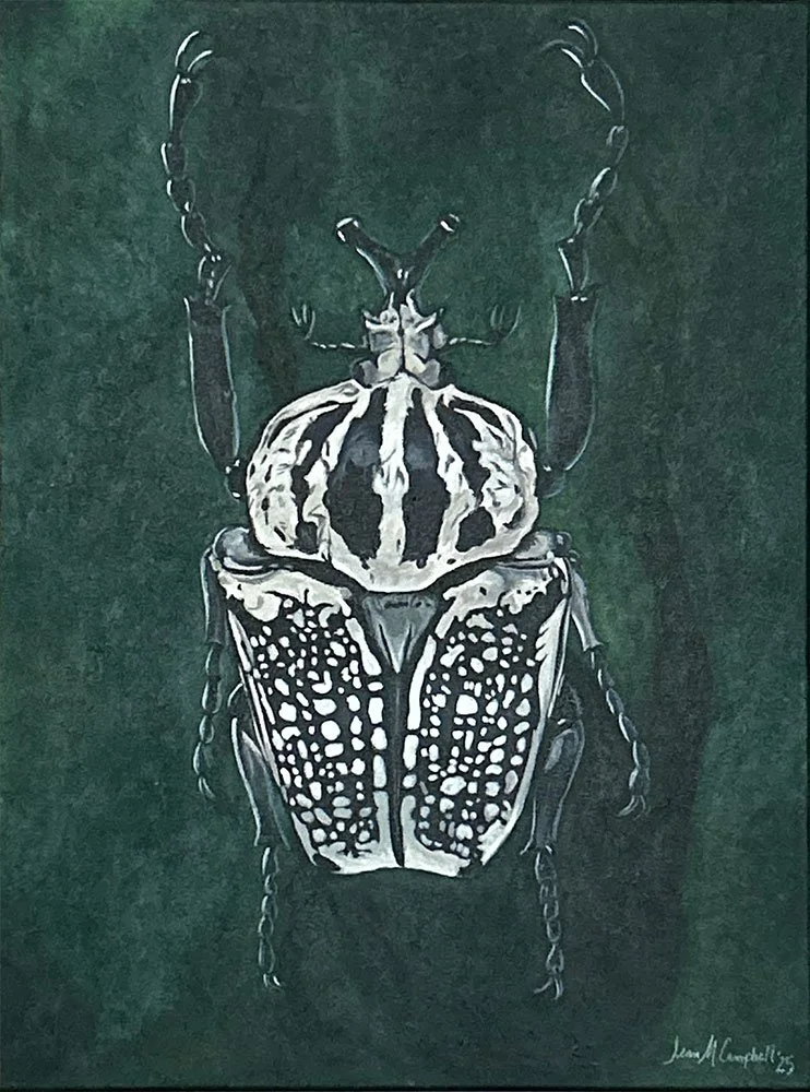 Acrylic nature-inspired painting of a black and white beetle