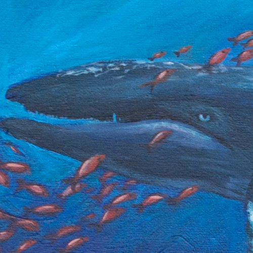 WesWhales-2.png