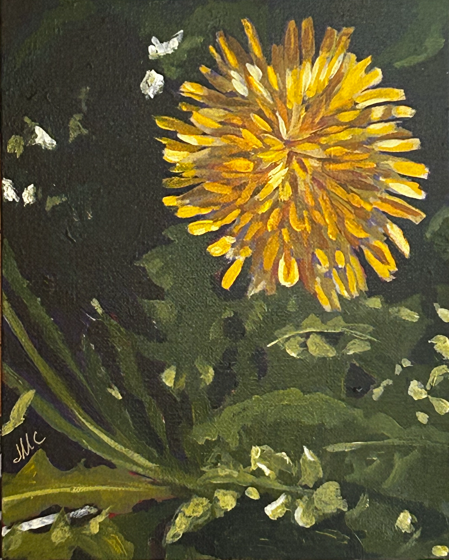 Acrylic painting of a dandelion bloom