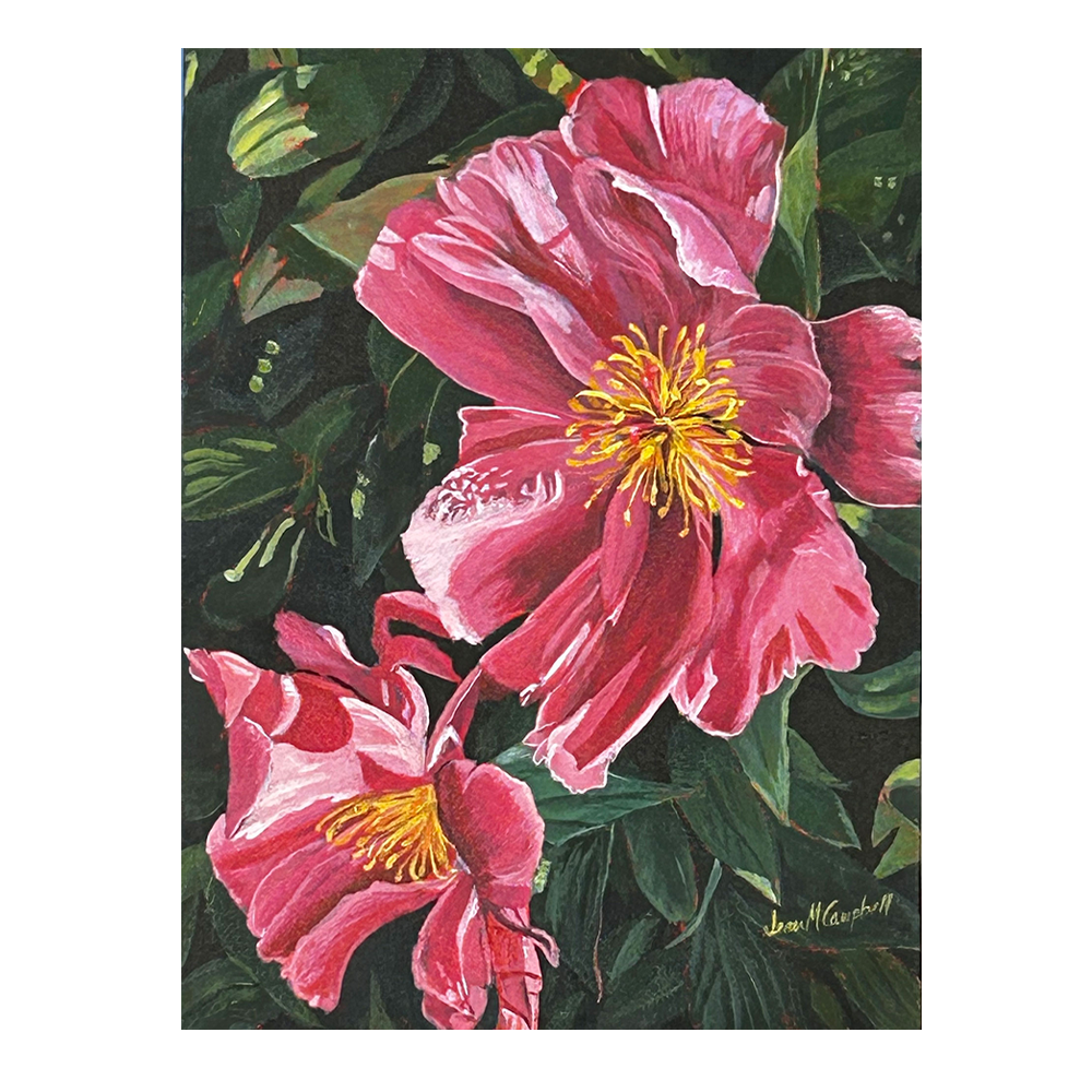 Garden art piece of two pink peonies in glorious sunshine. Painting for sale.
