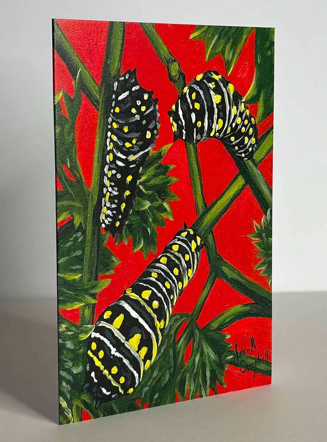 Caterpillars.jpg