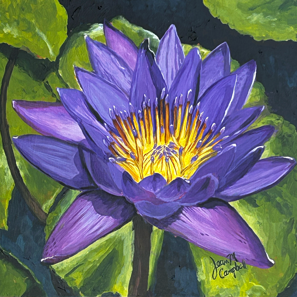 You’re in luck! It’s Friday the 13th!