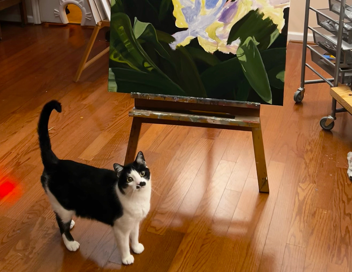 The tulip work continues…