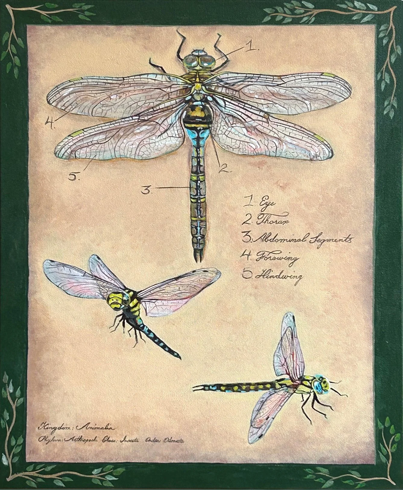 Dragonflies for Lucy.jpg