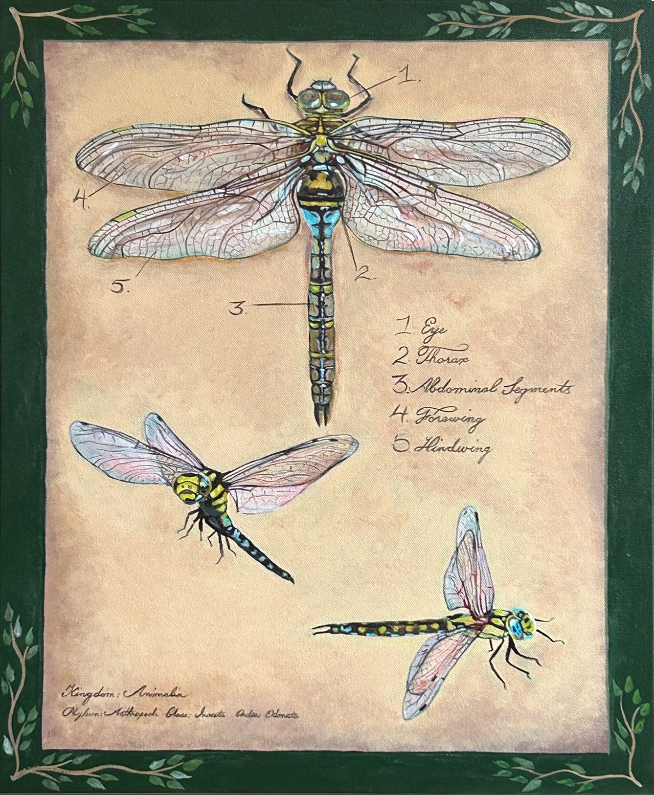 Dragonflies for Lucy.jpg