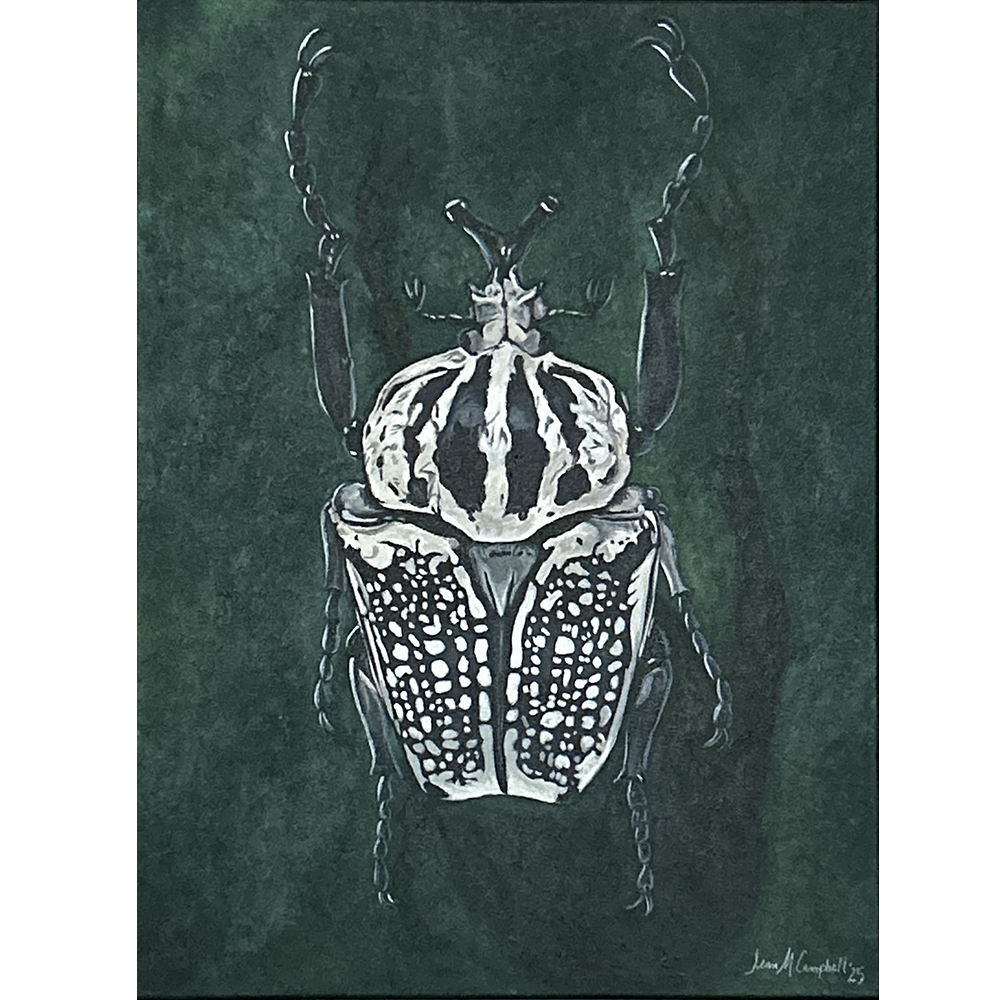 The Beetle - Acrylic on Canvas   -  30” x 40”