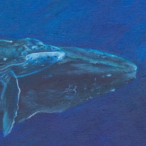 WesWhales-3.png