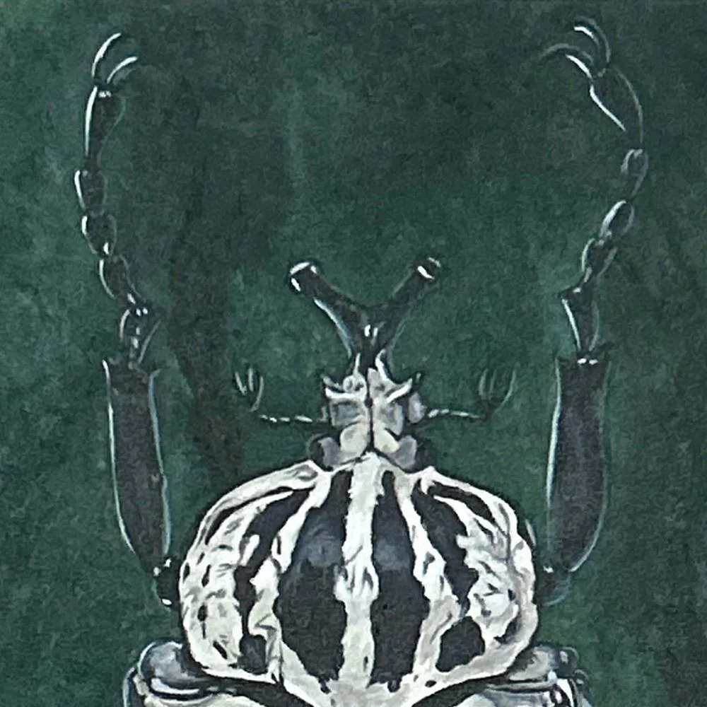 The.Beetle - Detail 1