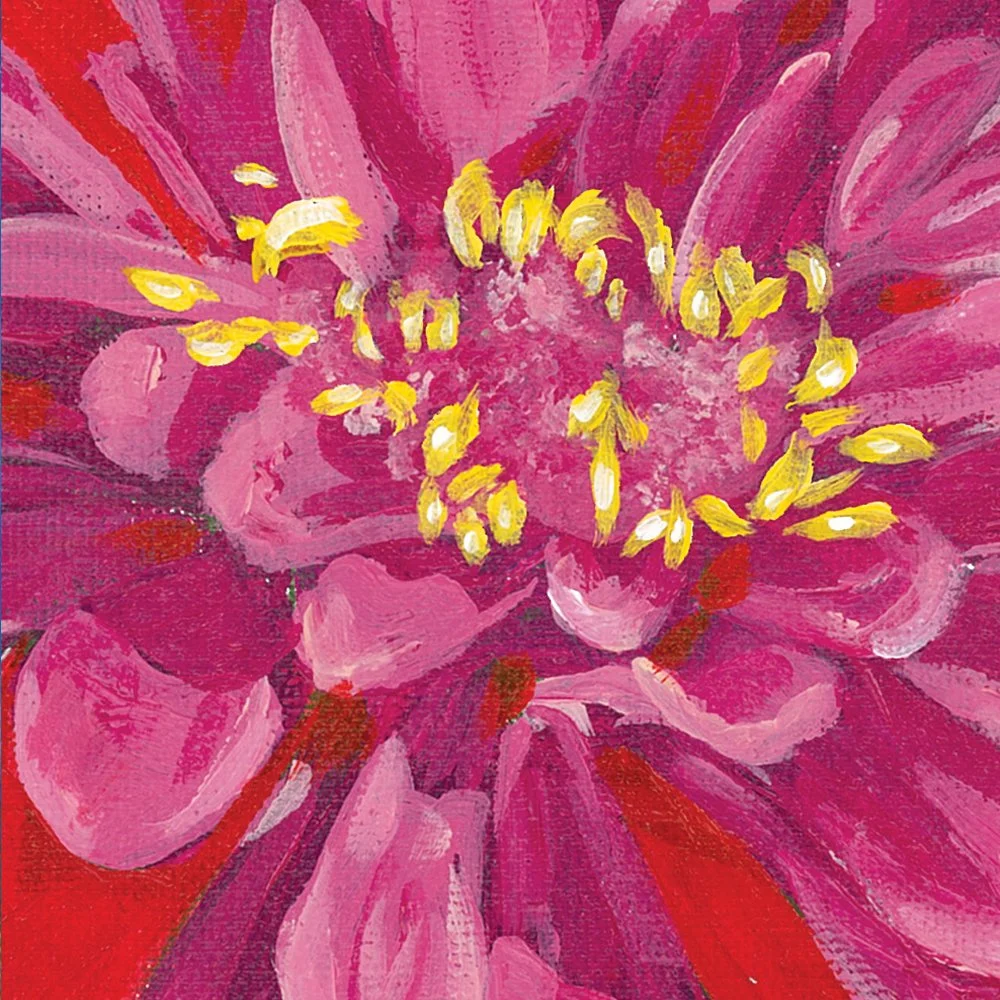 Zinnia - detail 1