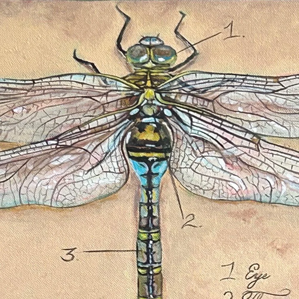 Dragonflies for Lucy - Detail 1
