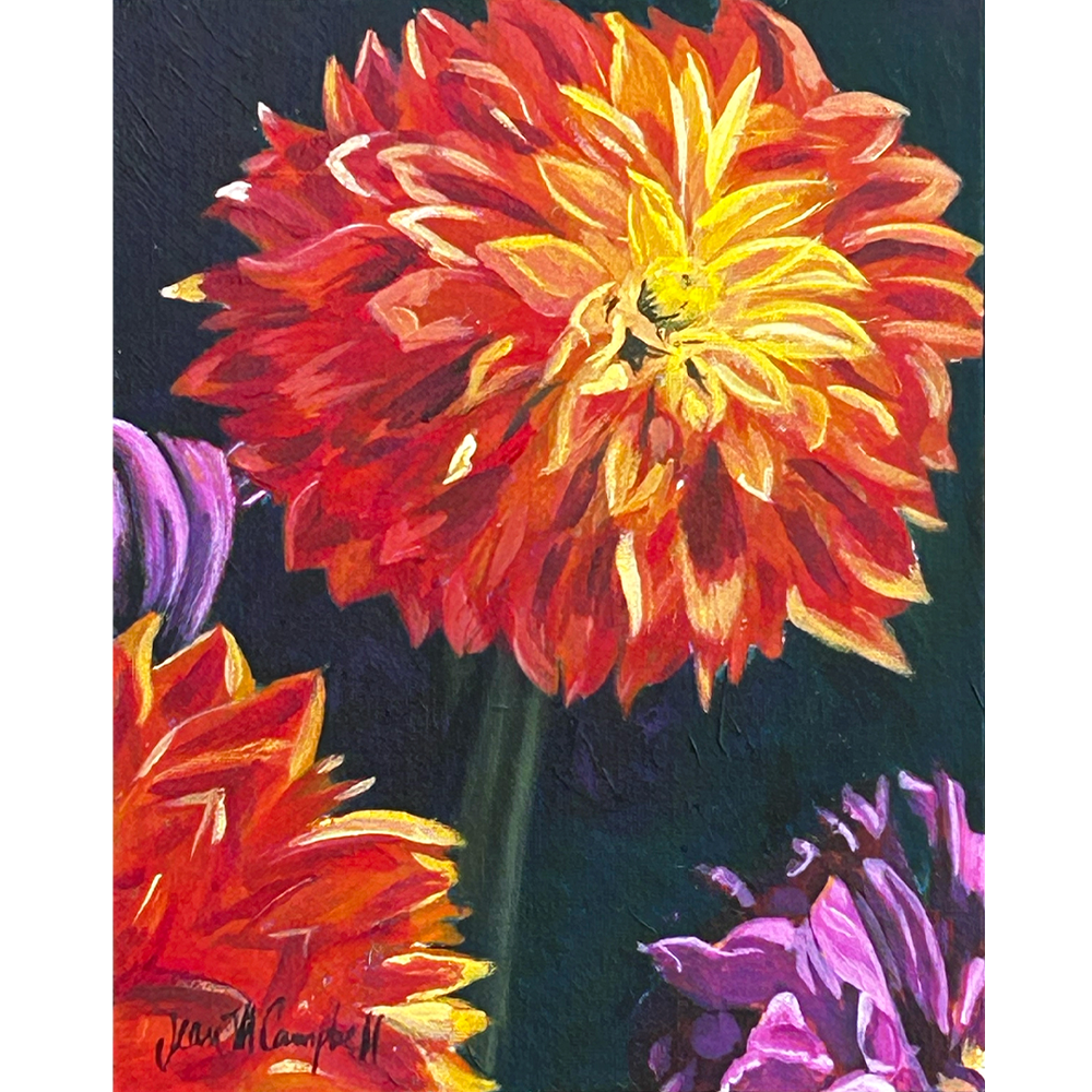 Acrylic painting of colorful dahlias sitting in the bright sun