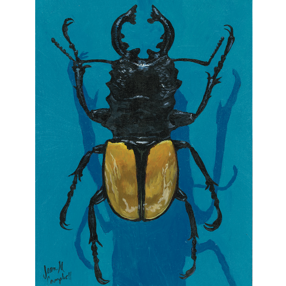 Going Stag - Acrylic on Canvas Board   -  9” x 12”