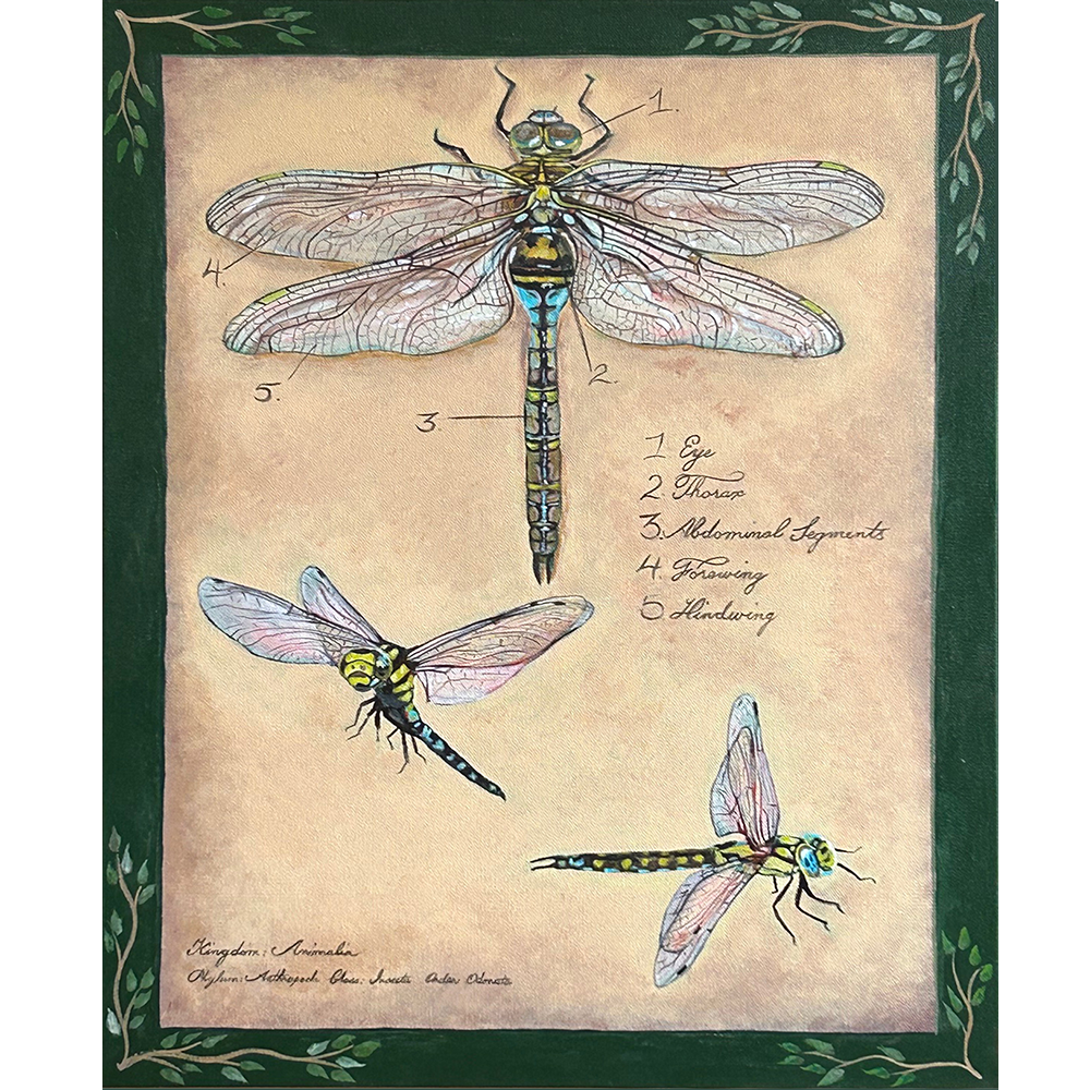 Dragonflies for Lucy - Acrylic on Canvas   -  18” x 24”