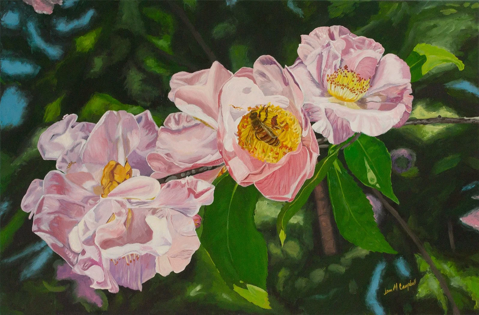 Acrylic painting of soft pink camellias on a branch, hosting a pollen-gathering honey bee.