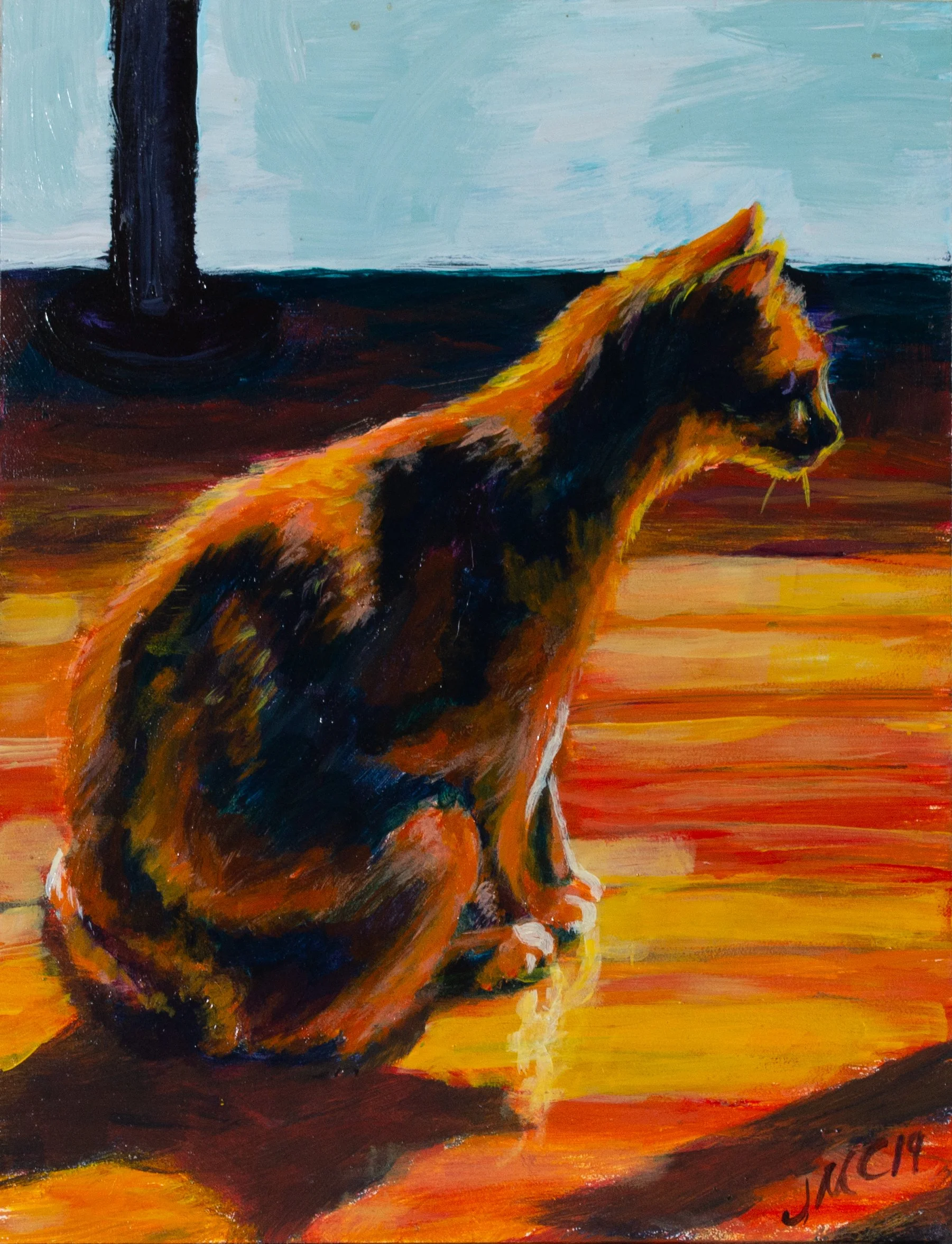 ContemplativeCat-Main.jpg