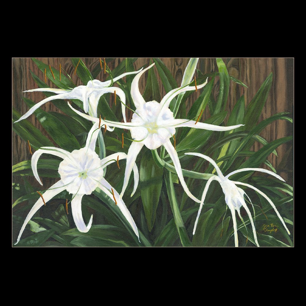 July 4th Lilies - 36” x 24”