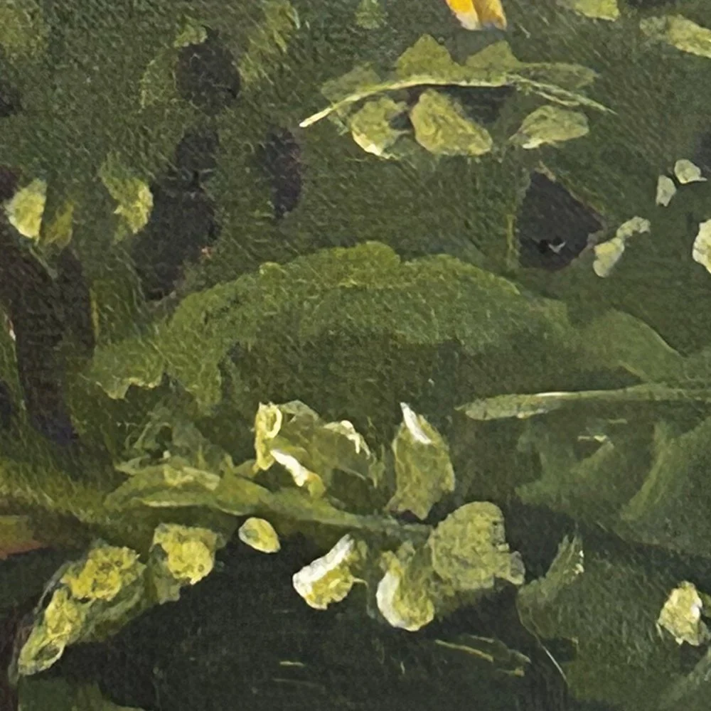 Dandy - detail 1