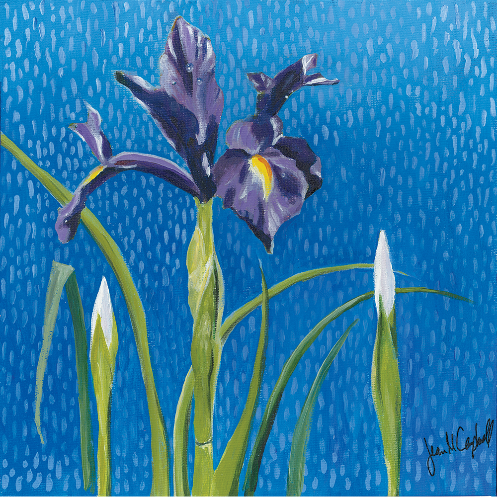 Iris Gathering 12" x 12"