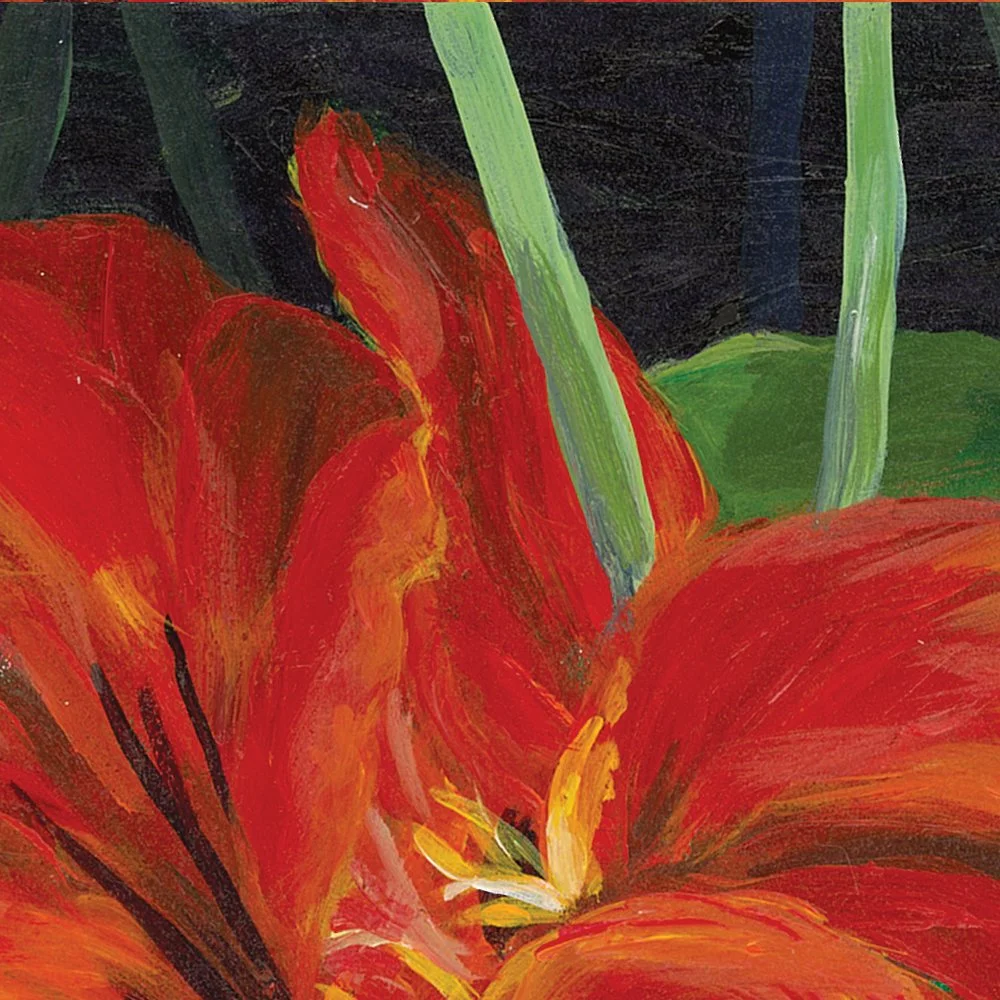 Red Nasturtium - detail 3