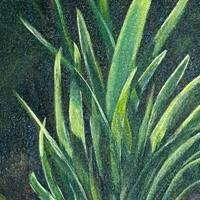 Blade Shadow - detail 1