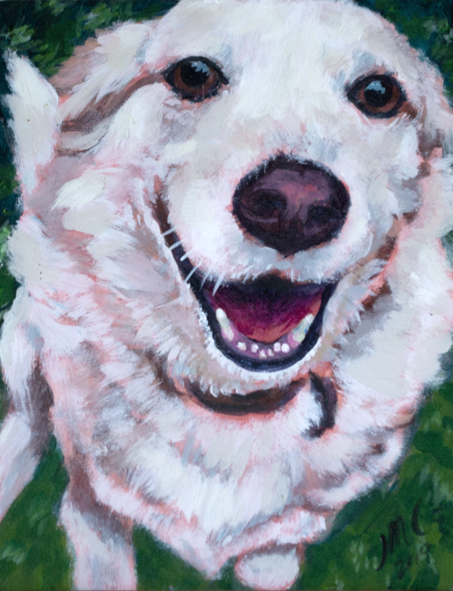 CanineJoy.png