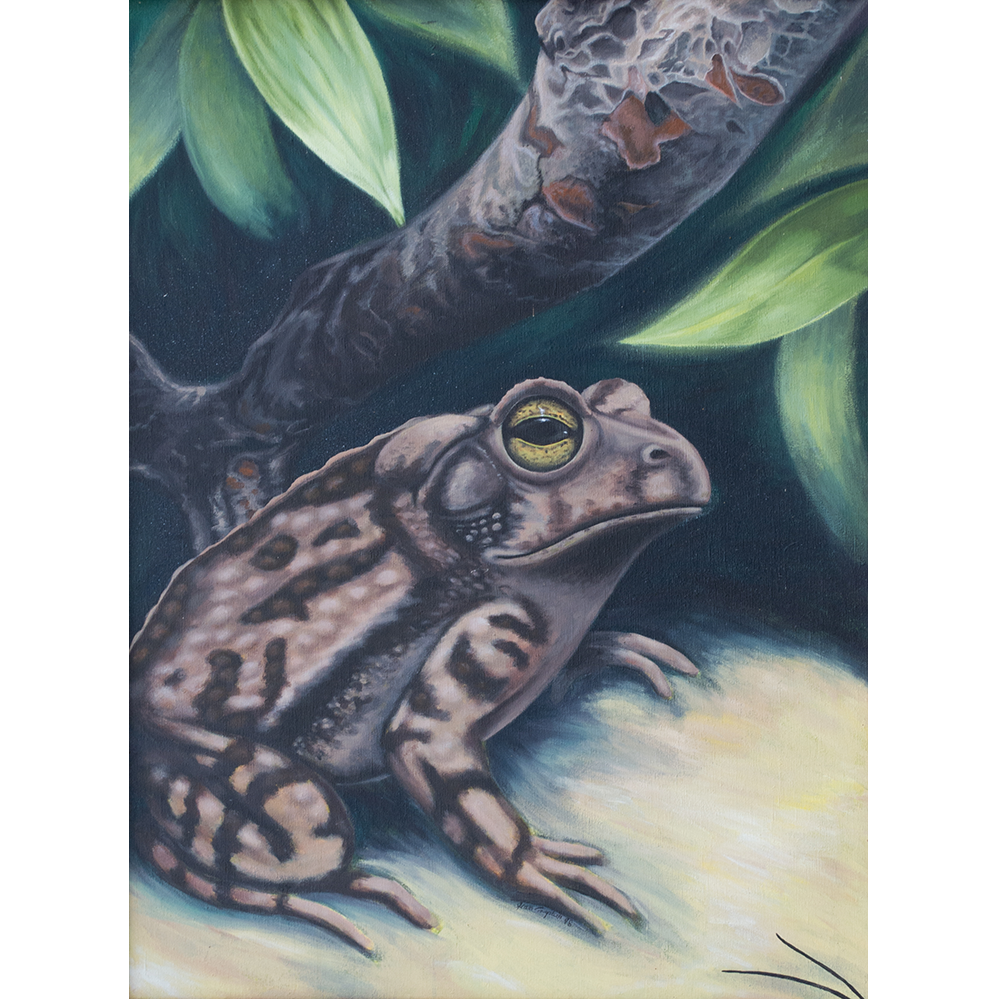 In the Eye of the Beholder 30" x 40"