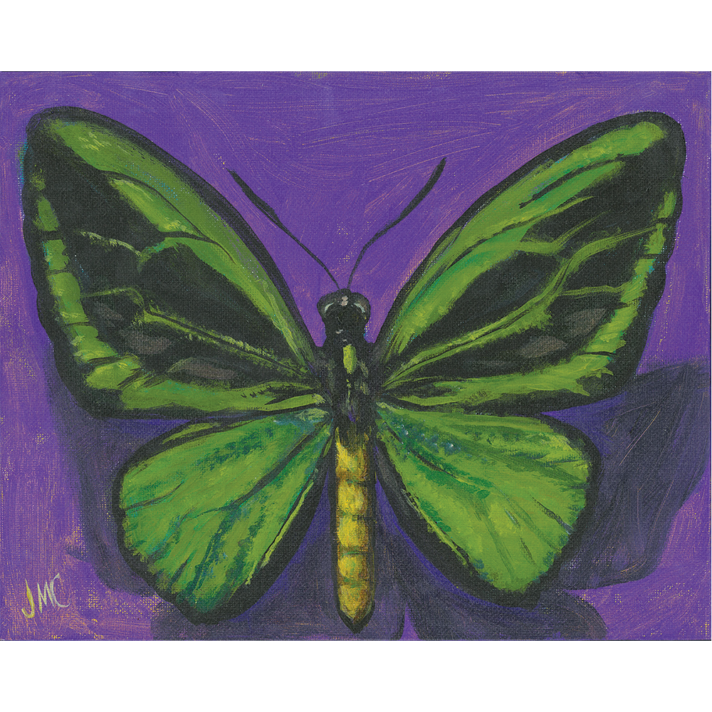 Green Wings - Acrylic on Canvas Board   -  10” x 8”