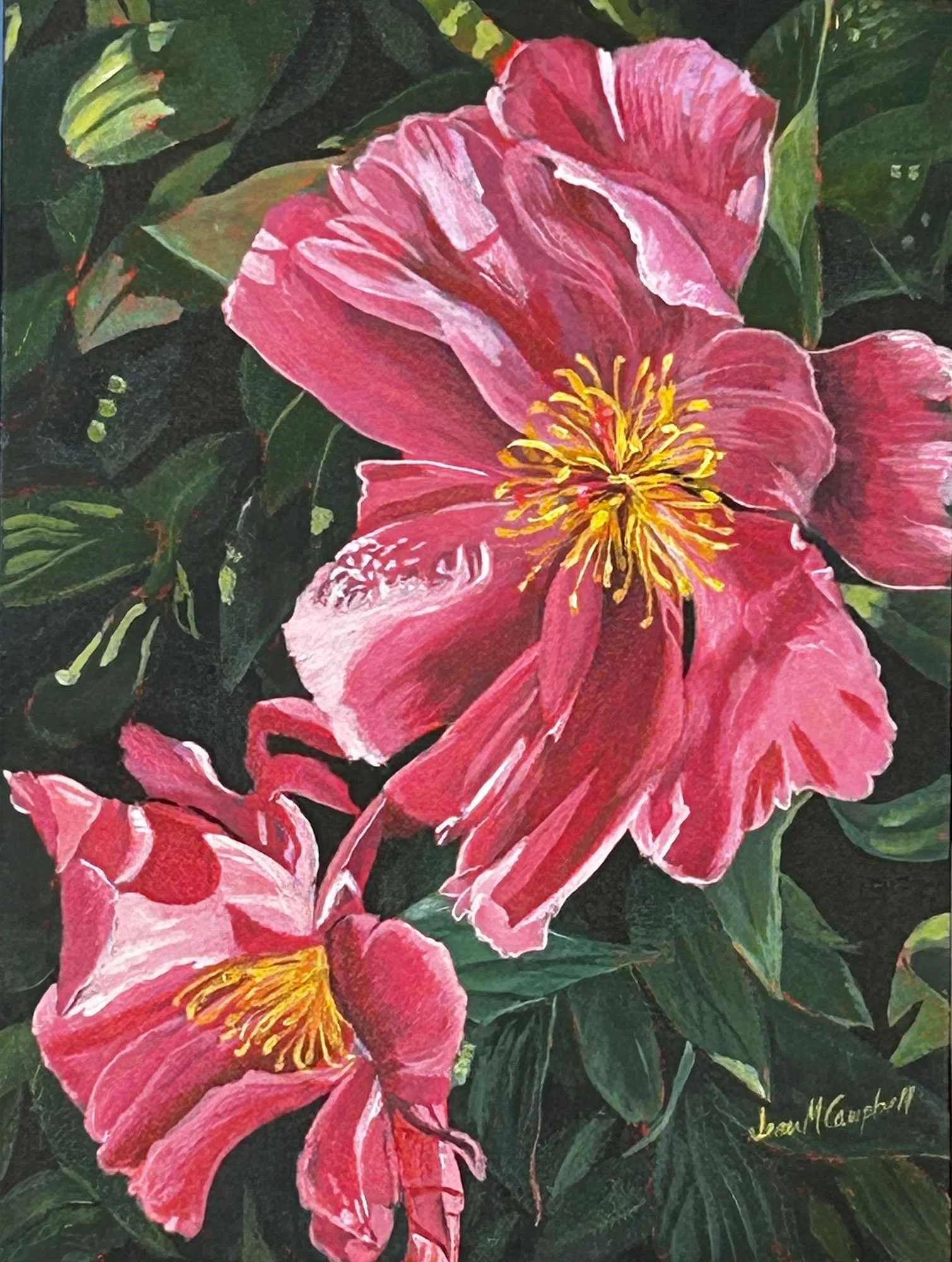 Garden art piece of two pink peonies in glorious sunshine. Painting for sale.
