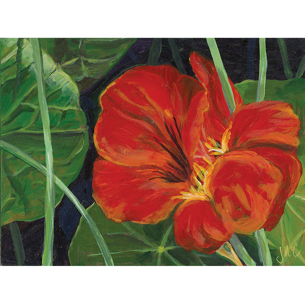 Red Nasturtium - Acrylic on Gessobord - 6” x 8”