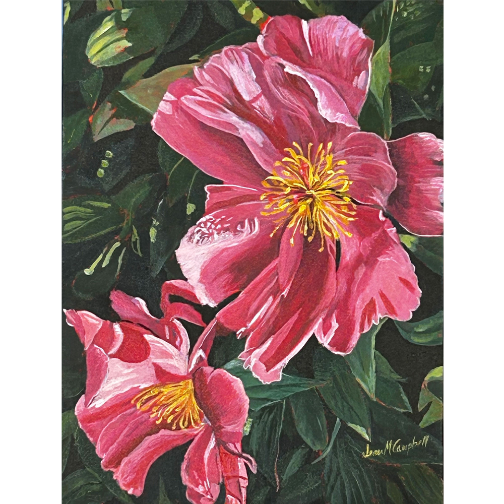 Peonies in Morning Sun - Acrylic on Canvas Board- 12” x 16”