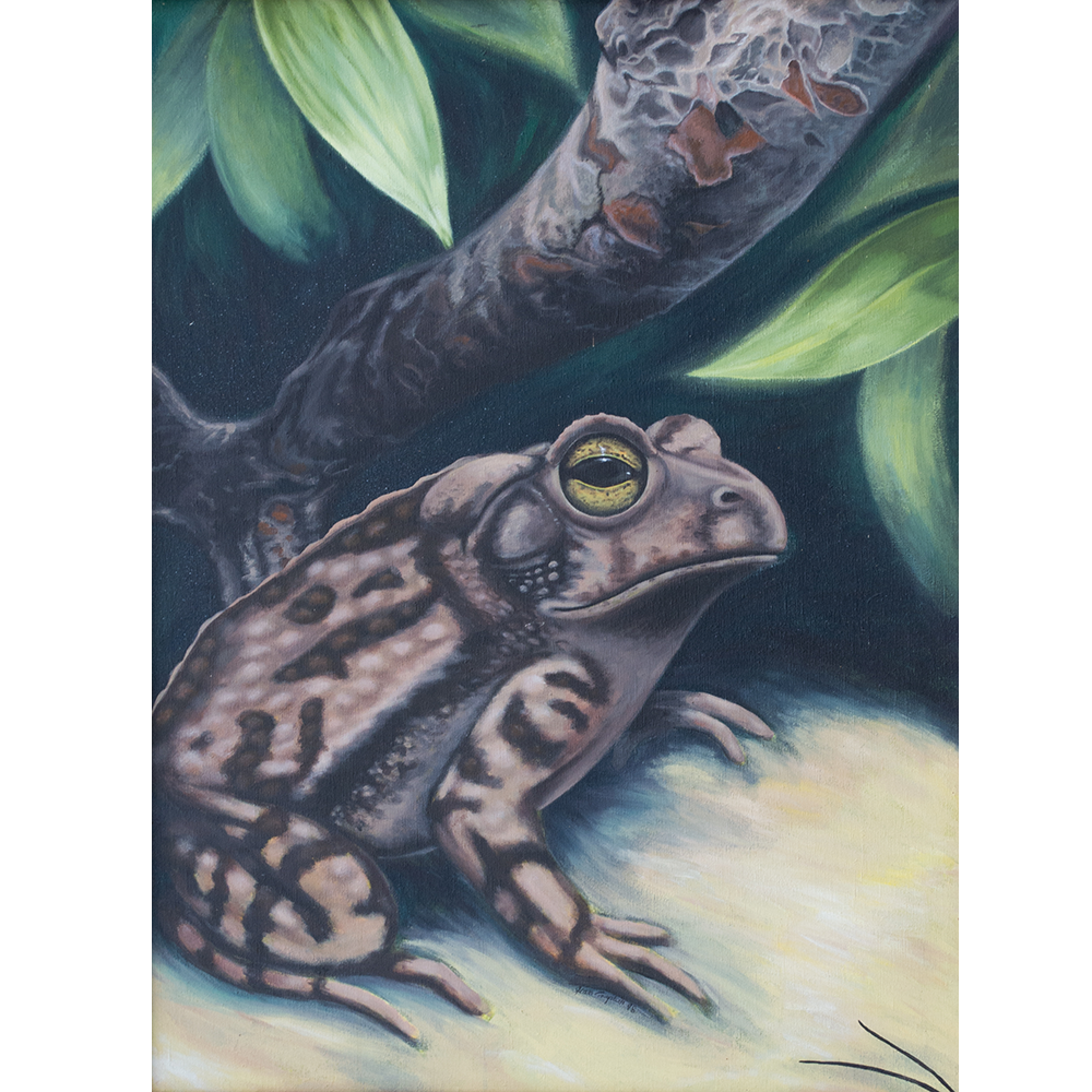 In the Eye of the Beholder - Acrylic on Canvas   -  18” x 24”