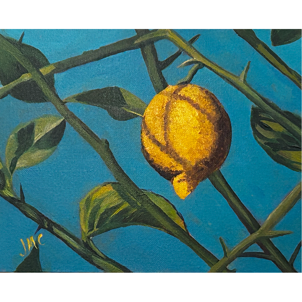 Lemon on Turquoise - Acrylic on Canvas Board - 10” x 8”