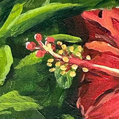 RedHibiscus-1.jpg