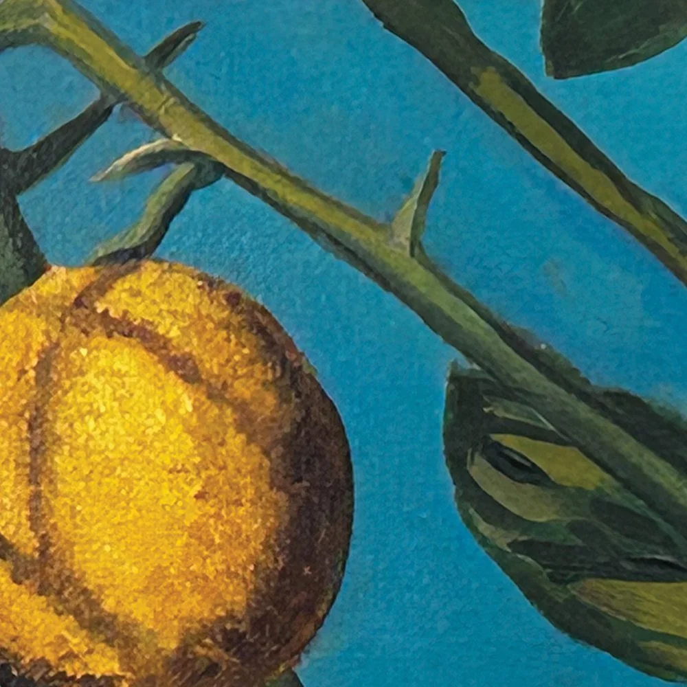 Lemon - detail 1