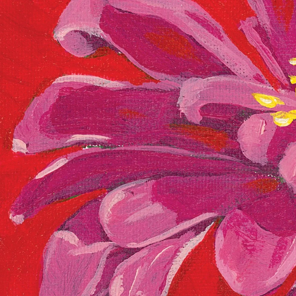 Zinnia - detail 3
