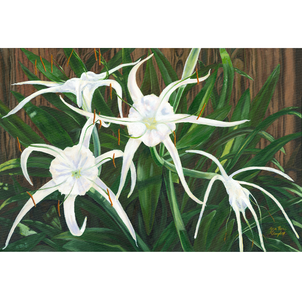July 4th Lilies - Acrylic on Canvas - 36” x 24”