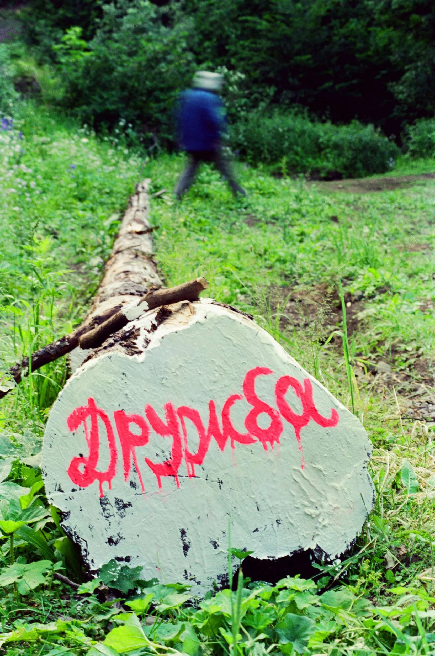 'The Tube', 'The Friendship', 1997,
Oil on Tree

'Druzhba' was a Russian saw used for cutting large trees. (Additionally, this word means 'friendship' in Russian)