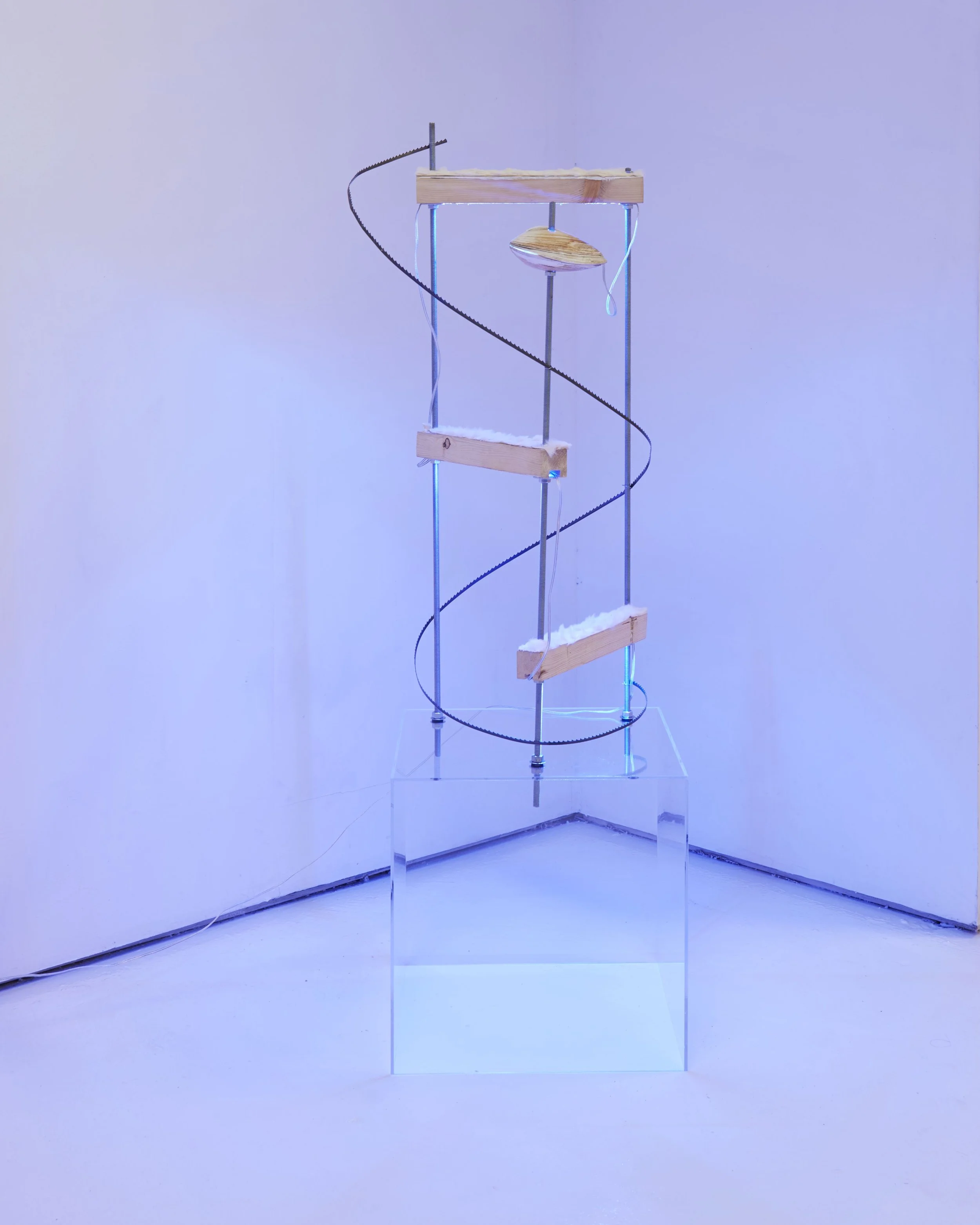 Art installation with illuminated sculptures includingby artist Lizzie Wright in 2012 at Essex Flowers in NYC.